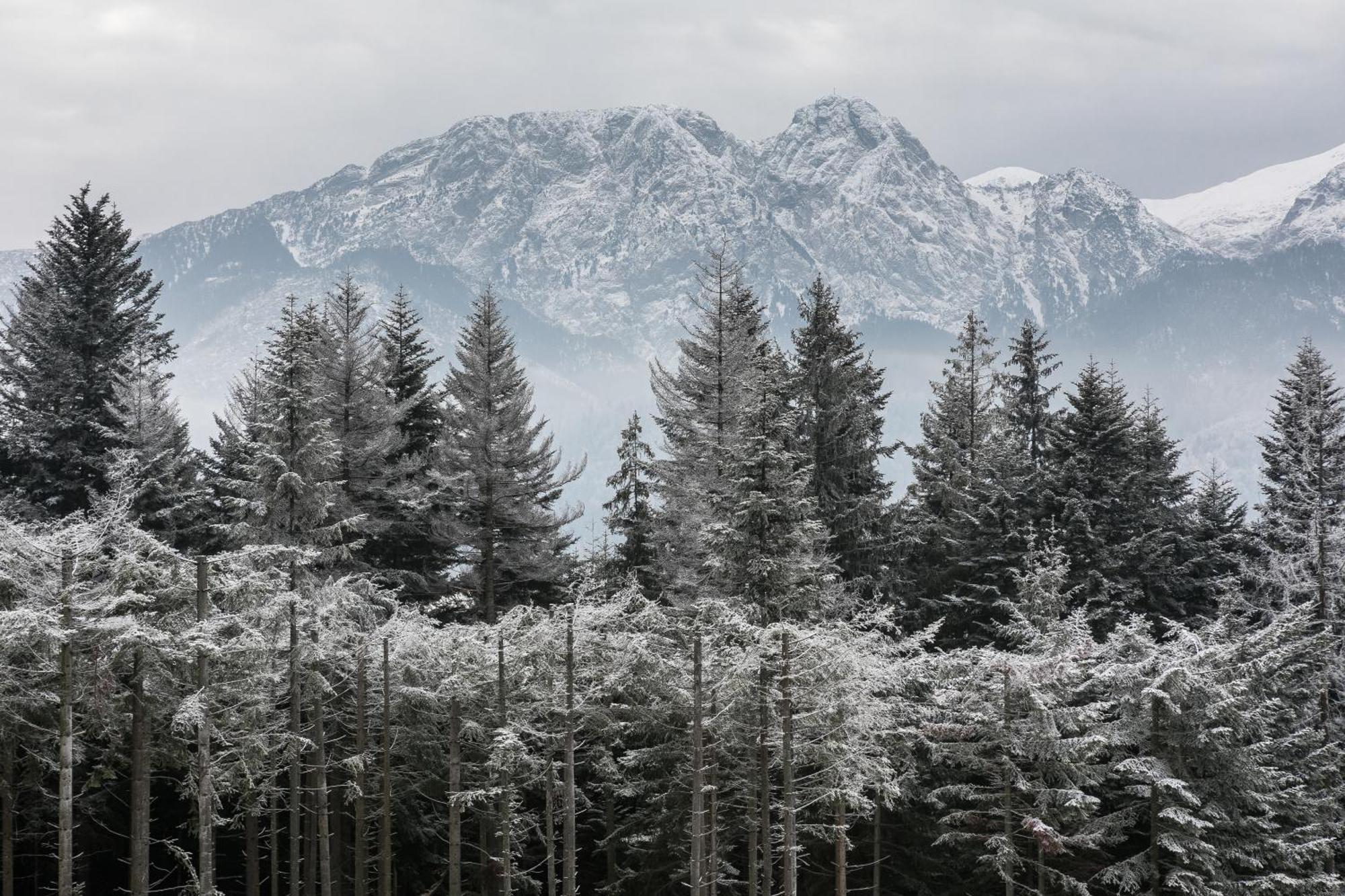 Rent Like Home - Hidden Hill Szymaszkowa 12 Zakopane Quarto foto